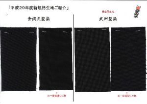生地スキャン画像